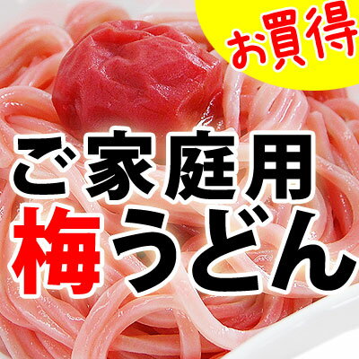 【送料無料】ご家庭用大盛り 冷し梅うどん10食セット【40％OFF！】ざるうどん 麺 ランキング 1位 獲得！テレビ メディアでも人気の冷しうどん！たっぷりお得なお買得セットです。冷し うどん 和歌山 梅【マラソン1207P10】リピート率80％以上★和歌山のざるうどんと言えば！テレビ メディアでも人気の梅うどん【送料無料】でお買得！冷しうどん ざる うどん セット たっぷり10食！お買得なご家庭用