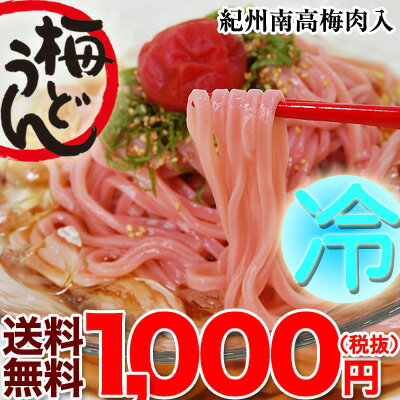 紀州梅うどん 4食スープ付送料無料 1000円うど