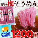 紀州 南高梅肉入 手延べ 梅そうめん 500g(250g×2袋)【メール便 全国送料無料!】(お届け指定日不可・代引き不可・同梱不可)さっぱり美味しい!夏に人気の梅そうめん。お試しセット 手延べ 訳あり 素麺 お取り寄せ