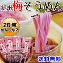 【送料無料】南高梅肉入 梅そうめんセット約10食分(梅そうめん250g×4袋、梅めんつゆ50ml×10袋)さっぱり美味しい!夏に人気の梅素麺セット【楽ギフ_のし】【楽ギフ_のし宛書】【楽ギフ_メッセ】【楽ギフ_メッセ入力】