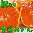 2018年ご予約開始!有田みかんのトップブランド!田村地区の...