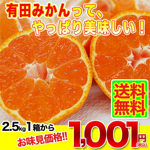 完熟有田みかん 2.5kg 1箱から訳あり ご家庭用 3S〜Lサイズ混合、表皮に傷あり。でも！中身の美味しさ変わりなし！2箱で5kgにおまとめ。完熟みかんゼリープレゼント！3箱でもう1箱プレゼント★10kgにおまとめ。有田みかん/完熟有田みかん/みかん/送料無料/訳あり/ご家庭用/プレゼント/ご予約本当に美味しい有田みかんをお味見して頂きたいから！