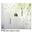水墨画用箋 梅 F10(100枚入り)