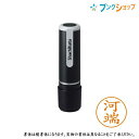 ネーム9 既製 XL-9 0799 カワバタ 河端 シャチハタ ネーム9