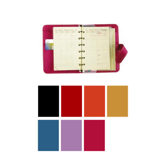 ڥХǥ Ģ ̵ۥХǥ QUOVADIS Ģ ꡼ 2011ǯ ޡ14  ʸ˼ʤ省ʸۡQuo Vadis