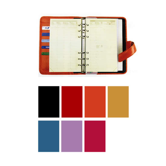 ڥХǥ Ģ ̵ۥХǥ QUOVADIS Ģ ꡼ 2011ǯ ޡ17  ʸ˼ʤ省ʸۡQuo Vadis