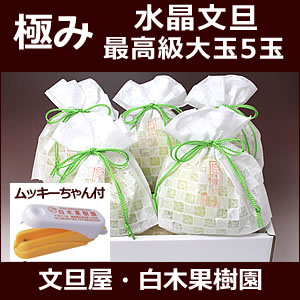 最高級【極み】水晶文旦大玉5個入り土佐和紙巾着包 秋の味覚【皮むき器付】【秋の柑橘 みかん】 最高級【極み】水晶文旦大玉5個入り土佐和紙巾着包 秋の味覚【皮むき器付】【秋の柑橘 みかん】