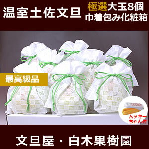 【お歳暮】最高級温室土佐文旦 土佐和紙巾着大箱大玉8個入り 【年末年始配送指定日OK】 【お歳暮】最高級温室土佐文旦 土佐和紙巾着大箱大玉8個入り 【年末年始配送指定日OK】