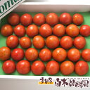 高知産特選 フルーツトマト大箱約28〜32個入【 ギフト 】【クール便】