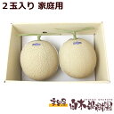 高知県産大玉マスクメロン家庭用2個入り 【期間限定】【自分ご褒美】【お祝い】【ギフト】【プレゼント】【お見舞い】