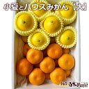 【送料無料】【夏ギフト】【お中元】小夏とハウスみかんのセット・大【柑橘セット】