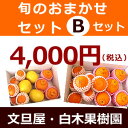 白木果樹園旬の柑橘おまかせセット【Bセット】フルーツ果物 詰...