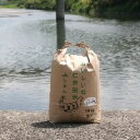 高知 四万十町産 仁井田米ヒノヒカリ玄米10キロ【玄米10キロ袋】