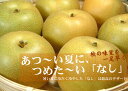 送料無料　和歌山の梨　幸水品種　4kg【12〜13玉】ギフト選別[特選品]寺西梨園からお届けします。