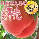 田中さんちの大きなわかやまの桃（もも）　約2kg箱　和歌山県紀の川市産・田中さんちの桃（白鳳・嶺鳳）【送料無料】 