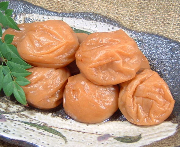 紀州南高梅はちみつ梅干し（まろやか仕立て）（化粧箱）500g...