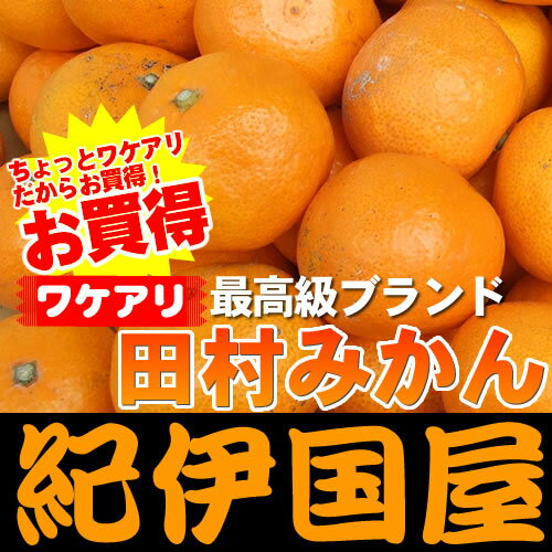 訳あり田村みかん/有田みかんの最高ブランド 田村みかん 約5kg[完熟みかん]和歌山県産「わけありの果実」ご家庭用きっとご満足いただける事と思います♪ミカンの本場紀州／和歌山県有田郡湯浅町田村産紀伊国屋文左衛門本舗有田みかんの最高ブランド 田村みかん