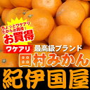 有田みかんの最高ブランド 田村みかん 約5kg[完熟みかん]和歌山県産「わけありの果実」ご家庭用きっとご満足いただける事と思います♪ミカンの本場紀州／和歌山県有田郡湯浅町田村産紀伊国屋文左衛門本舗有田みかんの最高ブランド 田村みかん