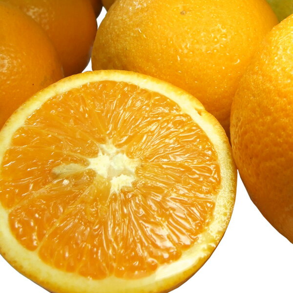 【送料無料】バレンシアオレンジ（買得品3kg）ご家庭用・紀州有田産　わけあり柑橘・訳あり果実を少量お試しセット【福袋】国産オレンジを産地直送