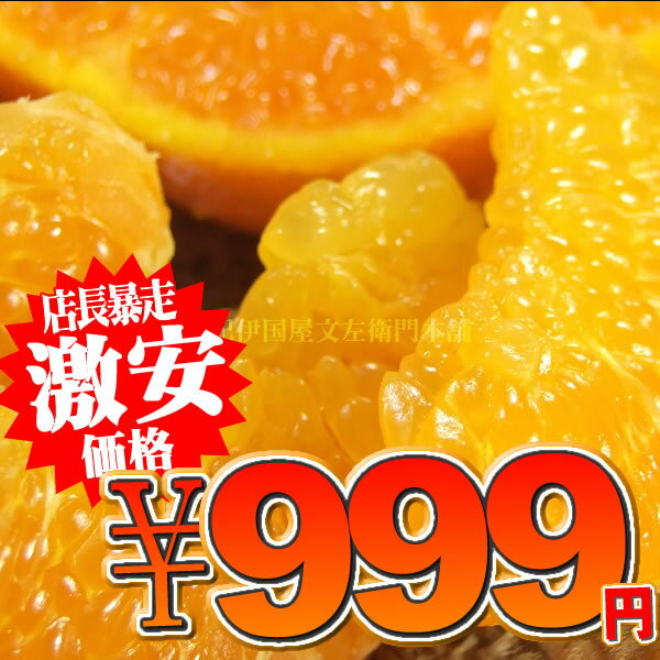 【999円均一】春みかん(はるみ（2kg）少量お試し果実ご家...