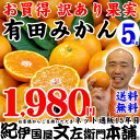 みかん 送料無料 訳あり有田みかん・和歌山ミカン たっぷり5キロお買得♪お試しセール【送料無料】直送 わけあり有田みかん(5kg)ギフト用に成れなかったご家庭用果実 紀伊国屋文左衛門本舗みかん【和歌山県産】蜜柑【マラソン201411_送料込み】