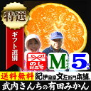 有田みかん【送料無料】武内さんちの有田みかん特選ギフト【Mサ...