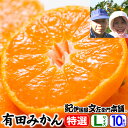 【予約受付】有田みかん【送料無料】武内さんちの有田みかん特選ギフト【Lサイズ=約80果前後】約10kg和歌山県有田郡有田川町奥地区から温州みかんの生産量日本一!みかんの名産地から産地直送・お歳暮・贈答・ギフトに