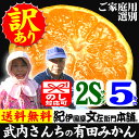 武内さんちの有田みかん【送料無料】ご家庭用【2Sサイズ＝約7...