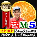 みかん　西崎さんちの有田みかん　約5kg（約50果）　【Mサ...