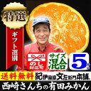 みかん　西崎さんちの有田みかん　約5kg【サイズ混合＝約45...