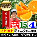 西崎さんちのネーブルオレンジ【送料無料】【秀品】ご家庭用サイ...