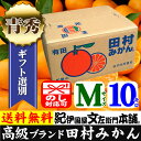 田村みかん/ギフト選別10キロ青秀【Mサイズ】紀州和歌山有田郡湯浅町田村地区産(秀品 M=約100果前後) 最高級プレミアムブランドの田村ミカン/お歳暮・お年賀に 【送料無料】