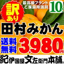 訳あり田村みかん [10kg] 送料無料 わけあり［完熟みか...