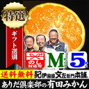 有田みかん 【送料無料：特選ギフト】 ありだ倶楽部[有田倶楽...