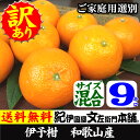 伊予柑/いよかん 【送料無料】(買得品9kg)訳あり果実・お買い得・ご家庭用みかんの本場 有田地方から 春かんきつ™春みかん™