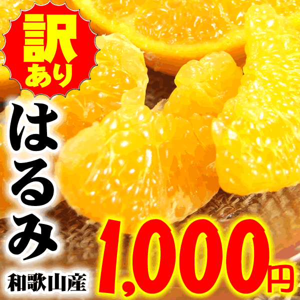 【1000円均一】はるみ【2.5kg】春みかん少量お試し果実...
