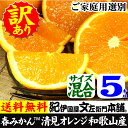 訳あり春柑橘 『清見オレンジ』5kg【送料無料】紀州有田の春かんきつ春みかん お買得わけあり選別/有田みかんの本場 和歌山県産
