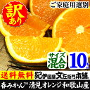 訳あり春柑橘 『清見オレンジ』10kg【送料無料】サイズ混合紀州有田の春かんきつ春みかん お買得わけあり選別/有田みかんの本場 和歌山県産