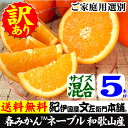 ネーブルオレンジ約5kg／サイズ選別なし訳あり果実【送料無料...