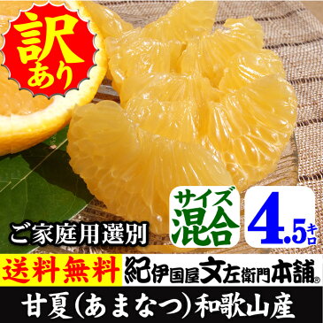 完熟 甘夏（あまなつ）【訳あり果実・買得品4.5kg】送料無料／紀州有田産の春みかん／わけあり柑橘／ご家庭用甘夏／本場 和歌山県有田地方産