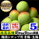 フレッシュ青梅(生梅)【 緑 】5キロ 梅干のブランド[南部...