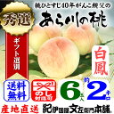 紀州和歌山 あら川の桃(白鳳)手選り【秀選】 2k