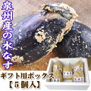 泉州産　水なす（ぬか漬）5個【ギフト用BOX】夏の味覚　水茄...