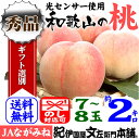 紀州和歌山の桃 【ギフト】2kg/7〜8玉入[なが