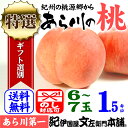 紀州和歌山名産“あら川の桃”　【特選ギフト】1．5kg／6〜...