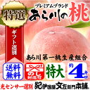 【送料無料】紀州和歌山名産“あら川の桃” 【特選ギ