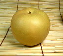 送料無料・和歌山の梨　長寿品種　2kg【6玉】ギフト選別[特選]寺西梨園からお届けします。