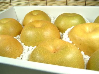 送料無料・和歌山の梨　豊水品種　4kg【8玉】ギフト選別[特選品]寺西梨園からお届けします。