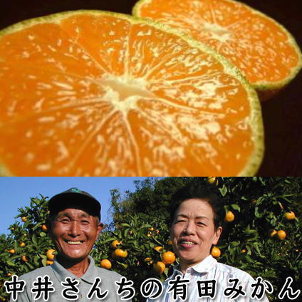 みかんの本場紀州有田湯浅町から産地直送★送料無料★中井さんち他のみかん（極早生系品種）【5kg】有田みかん(お買い得のサイズ不選別)みかんの本場紀州有田湯浅町から