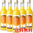 花粉対策 じゃばら果汁360ml【5本セット】新物入荷・10...